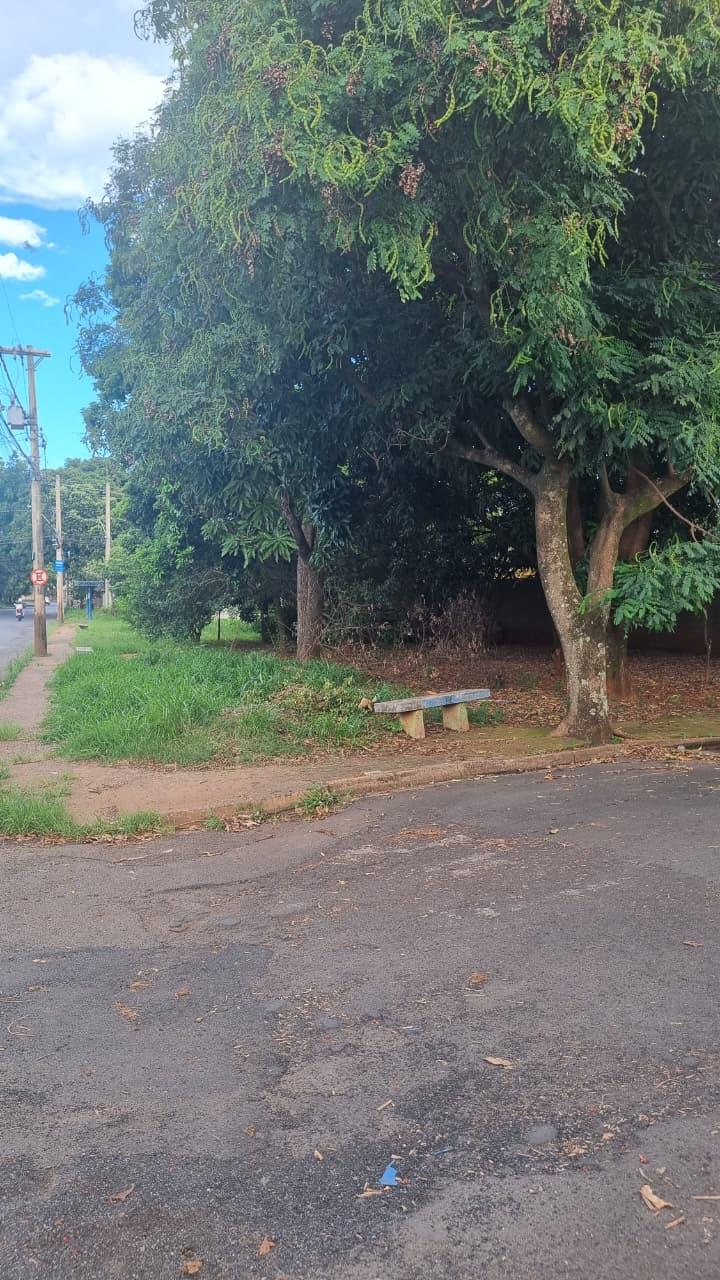 Mato alto na Praça das violetas estaria trazendo transtornos à população (Foto/Divulgação)