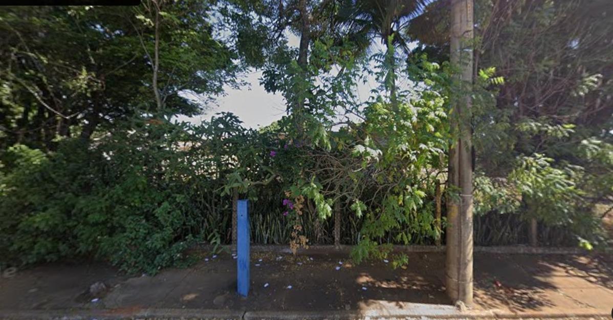 Árvores na antiga Casa do Menino (Foto/Reprodução/Google Street View)