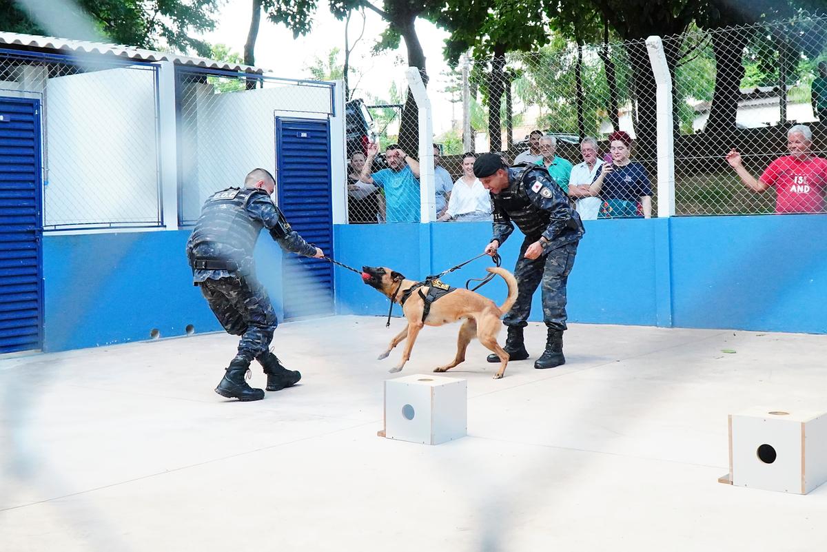 Decreto publicado no diário oficial do Município cria oficialmente o Canil da Guarda Civil Municipal de Uberaba (Foto/Divulgação)