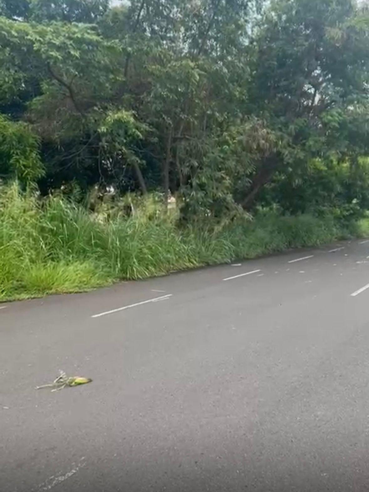 O trecho próximo à rodovia, estão na programação de serviços para serem atendidas a partir do dia 12 de fevereiro (Foto/Divulgação)