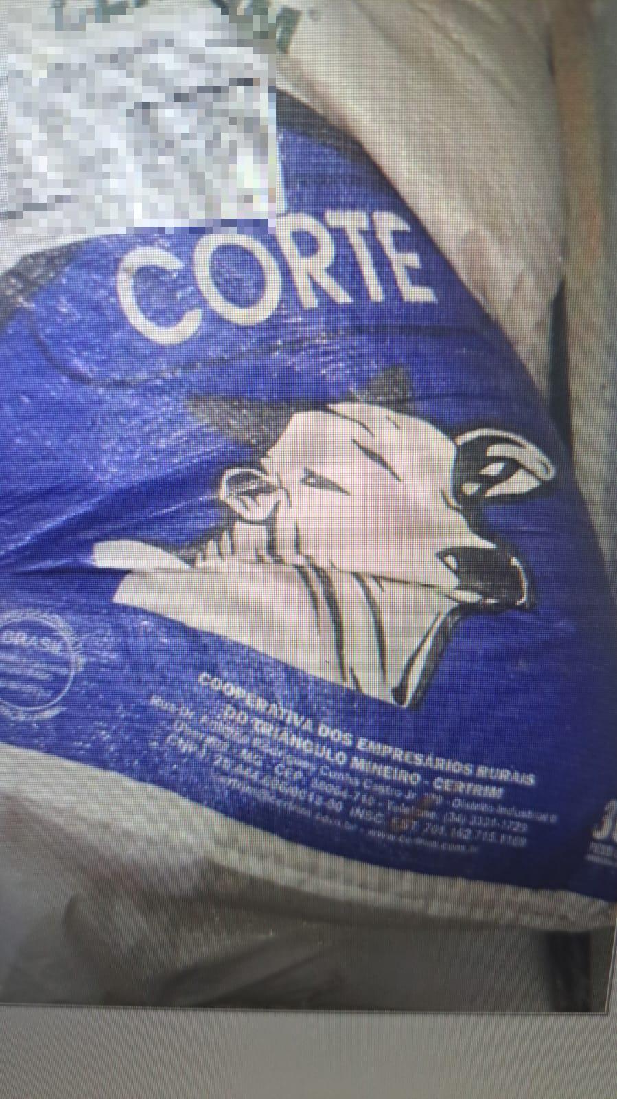  (Foto/Divulgação PMMG)