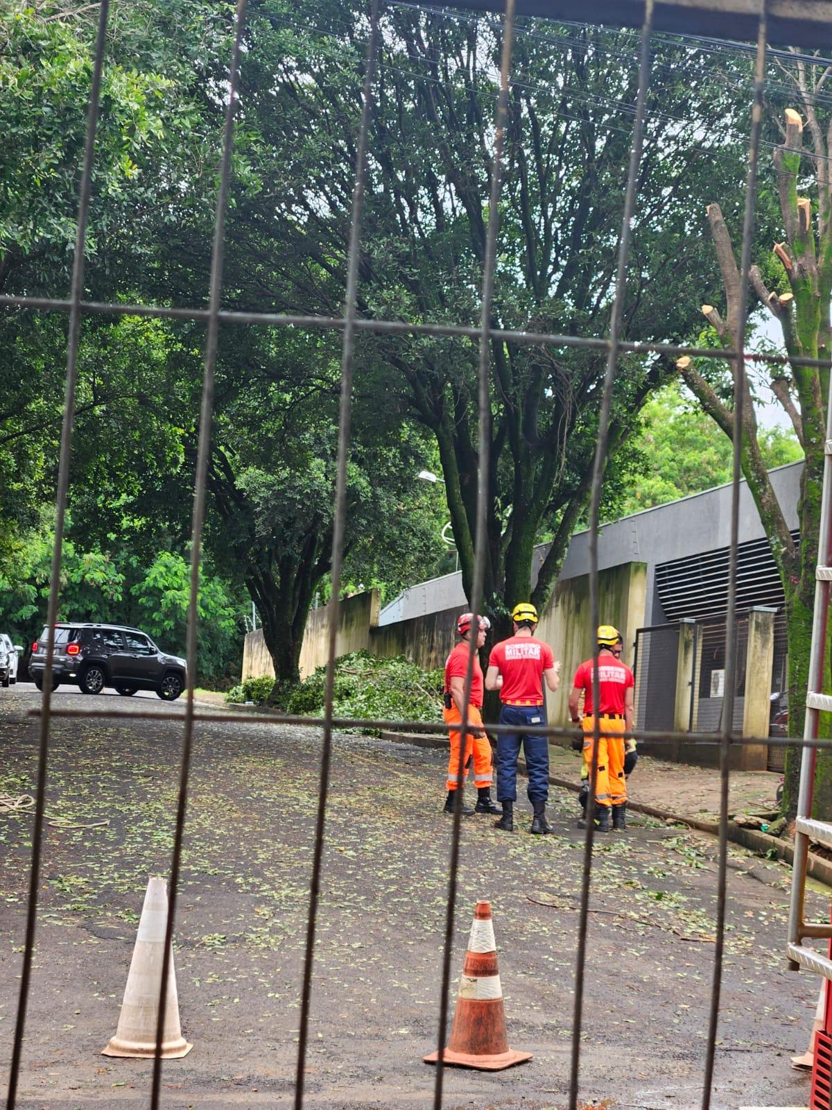  (Foto/Divulgação ouvinte)