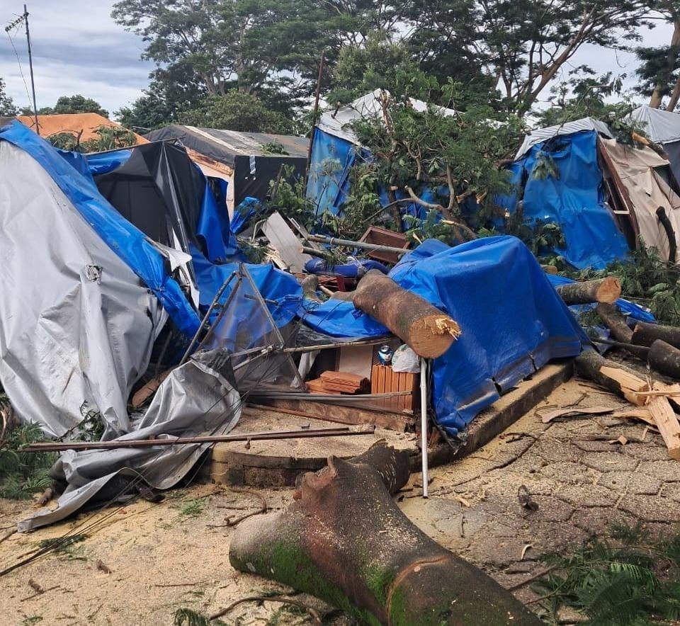 Agentes da Defesa Civil de Delta estiveram no Uberaba Country Club na tarde de ontem para vistoriarem a área onde uma árvore de grande porte caiu recentemente  (Foto/Divulgação)