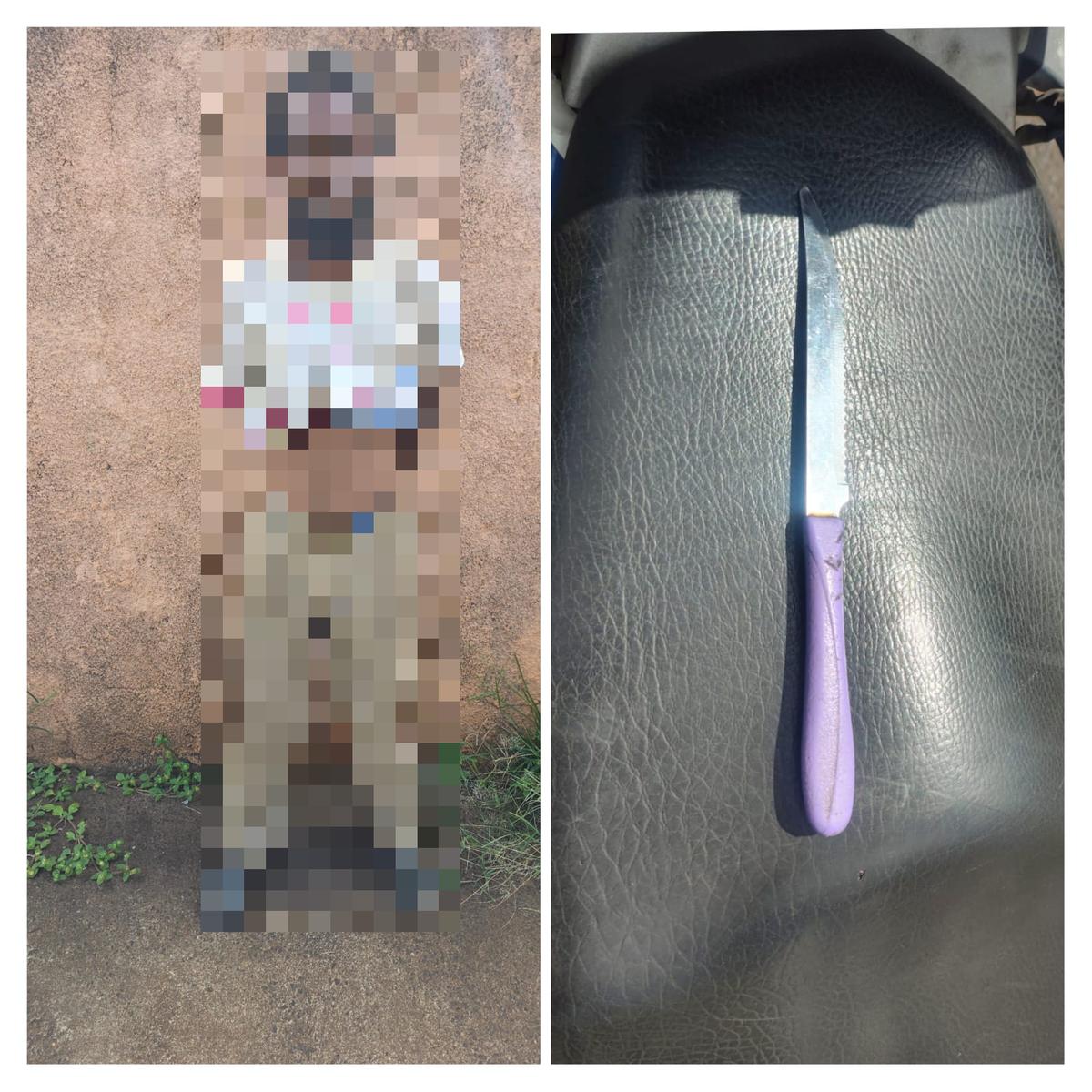  (Foto/Divulgação PMMG)