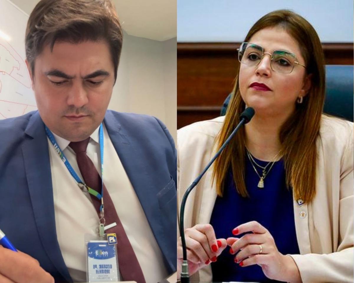 Criminalista Marcelo Henrique atuou na defesa de Ellen. (Foto/Montagem)