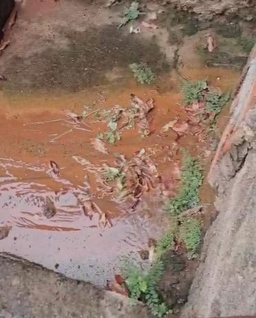 Conforme a denunciante, desde que percebeu o vazamento tem buscado atendimento junto ao órgão responsável, mas o desperdício de água continuou ao longo dos dias (Foto/Reprodução)