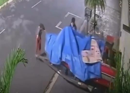 O crime ocorreu após o proprietário deixar o portão aberto por descuido (Foto/Reprodução)