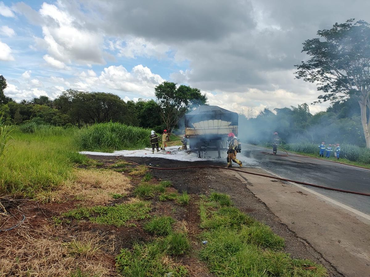 A ocorrência foi registrada no km 779 da rodovia, nas proximidades de Peirópolis (Foto/Divulgação)