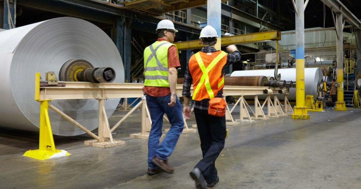 A maior parte da produção segue para o mercado internacional, com destaque para países da Ásia e da Europa (Foto/Reprodução/Ilustrativa)