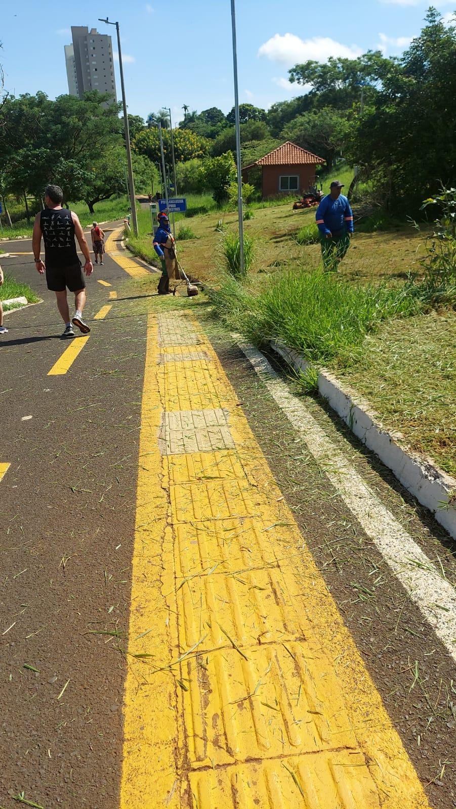 A última roçada havia sido realizada em dezembro, também após reclamações (Foto/Divulgação)