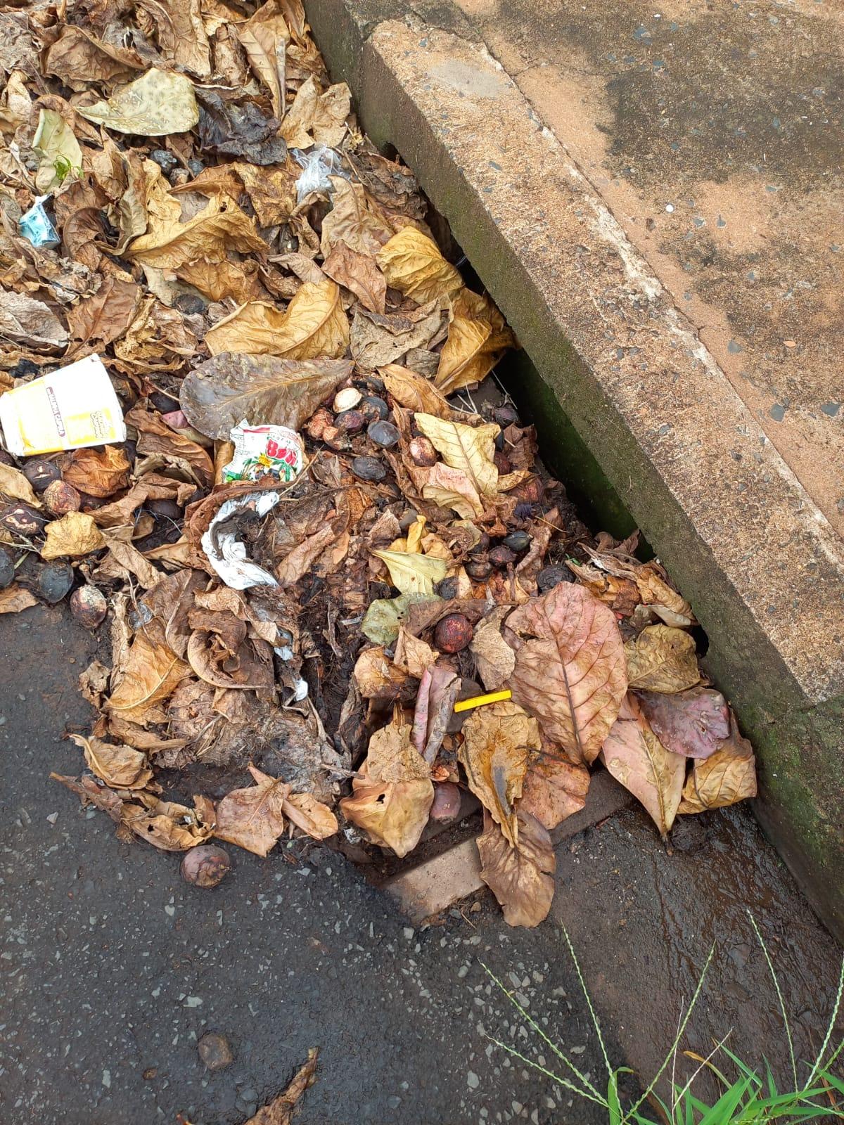 A ouvinte relatou que, por ter quase 90 anos, não consegue mais varrer a sujeira acumulada. “Não estou aguentando mais. Eu varria todos os dias para manter minha porta limpa, mas agora não tenho mais condição”, desabafa (Foto/Reprodução)