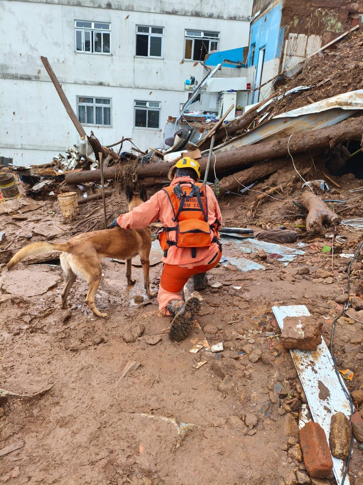  (Foto/Divulgação Corpo de Bombeiros)