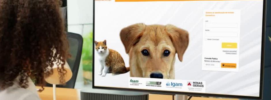 Plataforma oficial de registro de cães e gatos microchipados (Foto/Reprodução)