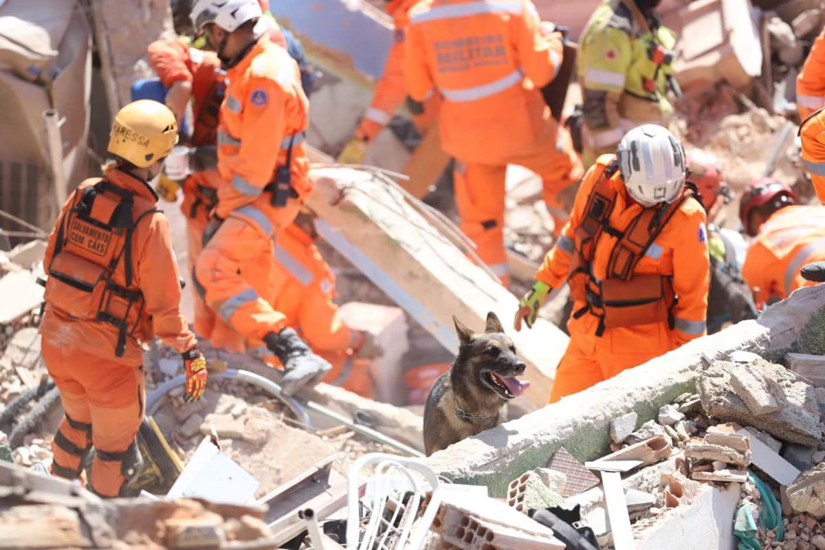 Cães estão auxiliando o Corpo de Bombeiros nas buscas pelas vítimas (Foto/ALEX DE JESUS/O TEMPO)