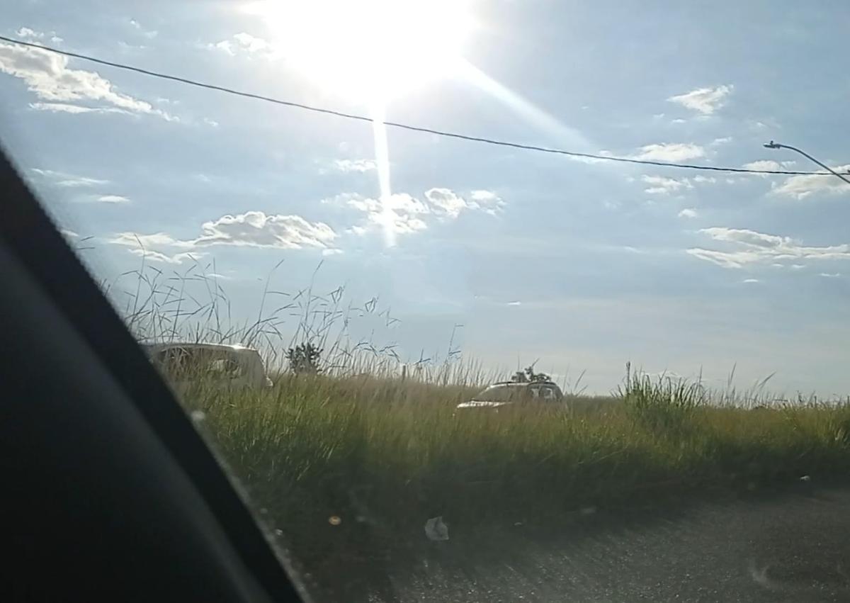 Trechos da avenida José Geraldo de Souza estão com a vegetação alta ao ponto de cobrir parte da sinalização de trânsito e alcançar veículos estacionados ao longo da via (Foto/Reprodução)