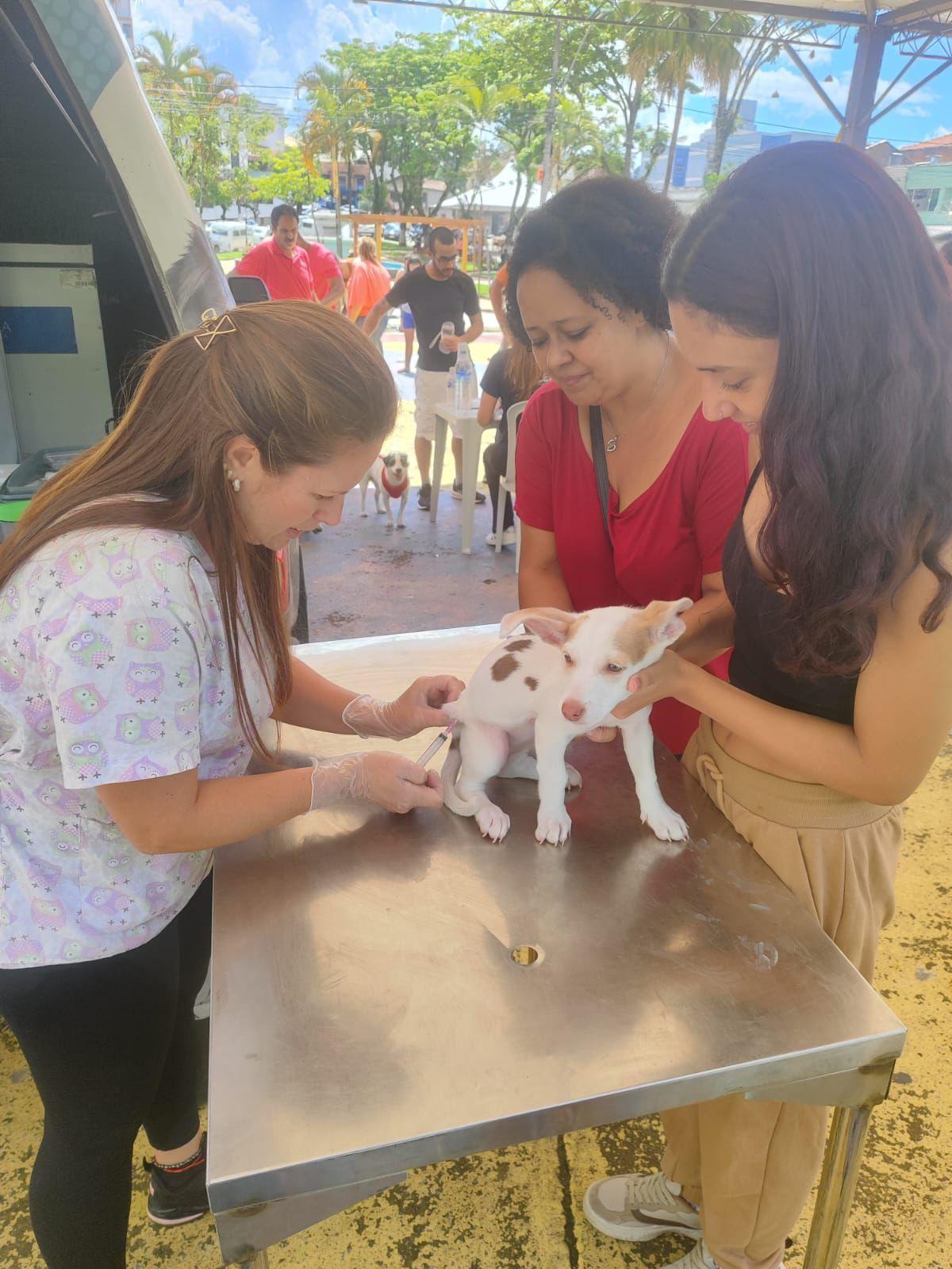 Para cães será aplicada a vacina V10, que protege contra diversas doenças infecciosas, já os gatos receberão a vacina V4 felina (Foto/Divulgação)