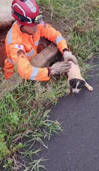  (Foto/Divulgação Corpo de Bombeiros)