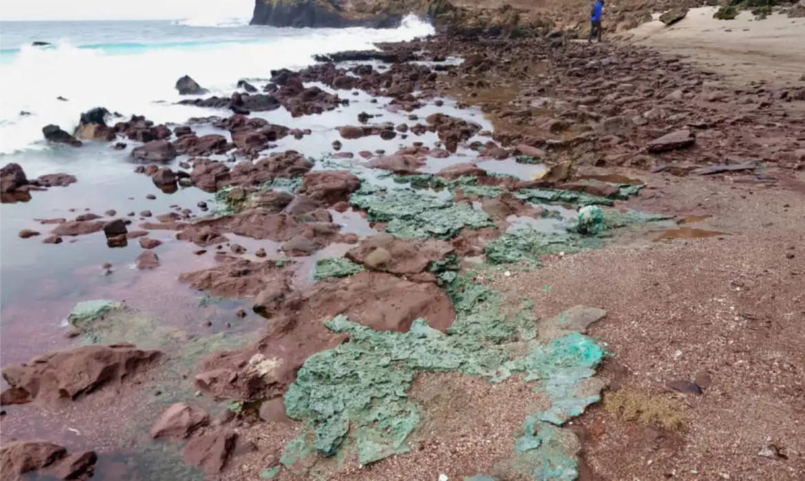 Rochas plásticas foram encontradas em ninhos de tartarugas na ilha de Trindade, no Atlântico Sul, a mais de mil quilômetros do litoral do Espírito Santo. (Foto/Fernanda Avelar Santos/Divulgação)