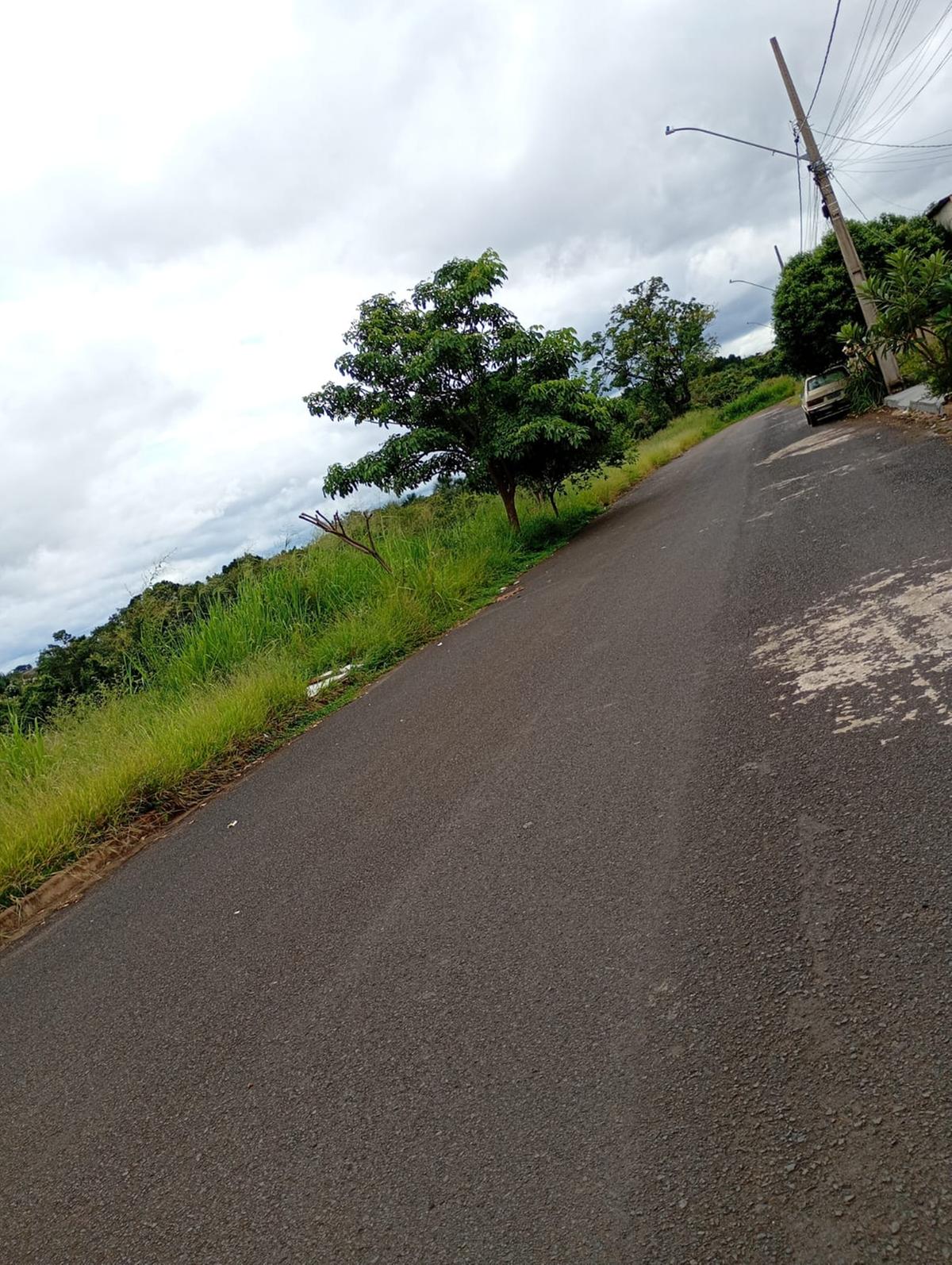 Vegetação alta toma conta das calçadas e moradores cobram serviço de roçada. (Foto/Reprodução)