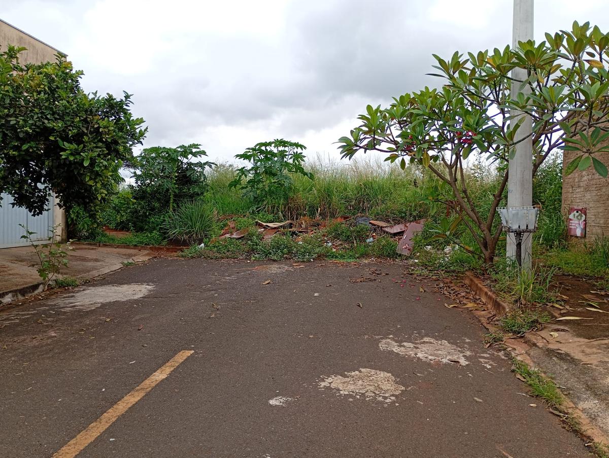 Mato alto em área do Jardim Marajó I tem dificultado a passagem de pedestres e gerado reclamações de moradores. (Foto/Reprodução)