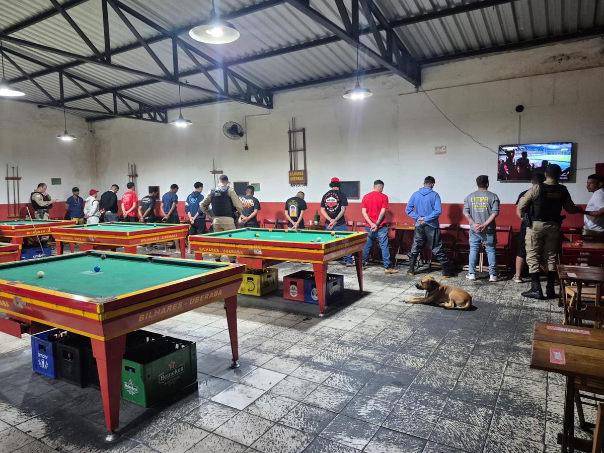  (Foto/Divulgação PMMG)