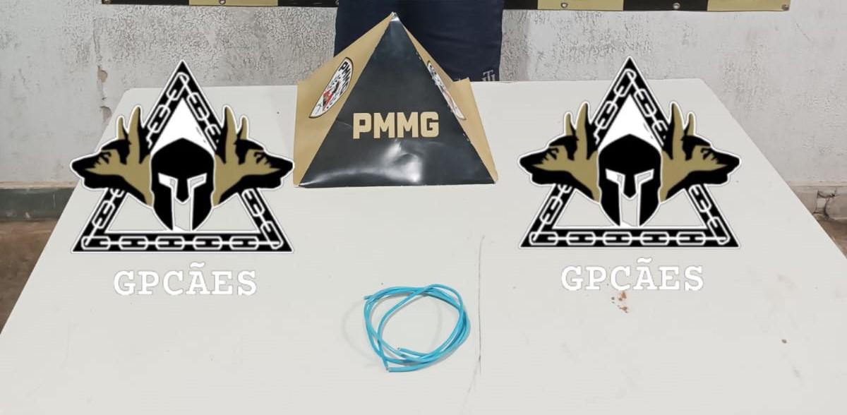 Após rastreamento nas imediações, os policiais conseguiram localizar e abordar o indivíduo (Foto/PMMG/GPCães)