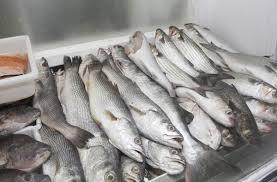 Os produtos mais procurados durante a quaresma são sardinhas, peixes em geral e ovos (Foto/Reprodução)