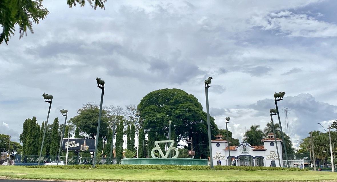 Artista autor das esculturas de bois das raças zebuínas questiona a retirada das mesmas da praça Vicentino Rodrigues da Cunha, em frente à ABCZ (Foto/Reprodução)