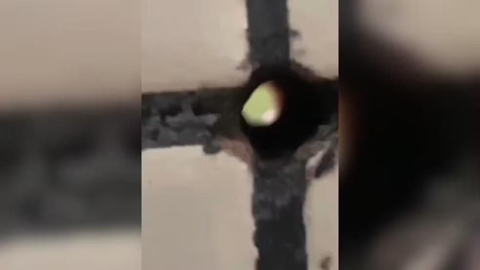 (Foto/Divulgação G1)