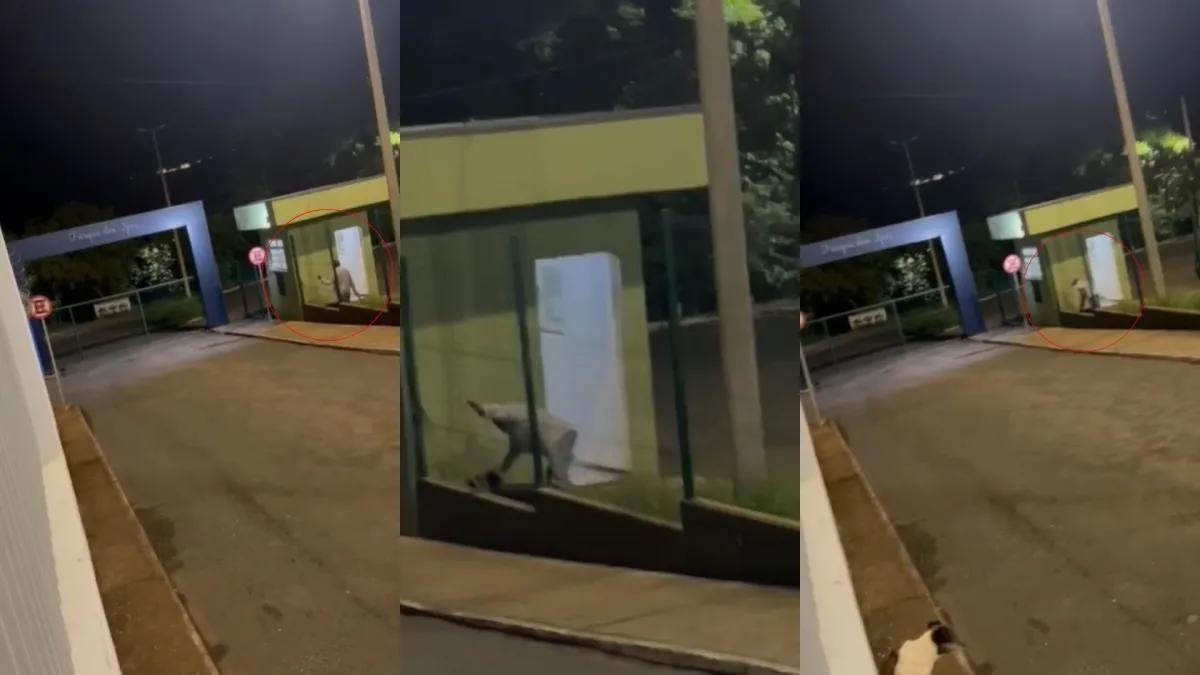 (Foto/Divulgação CNN Brasil)