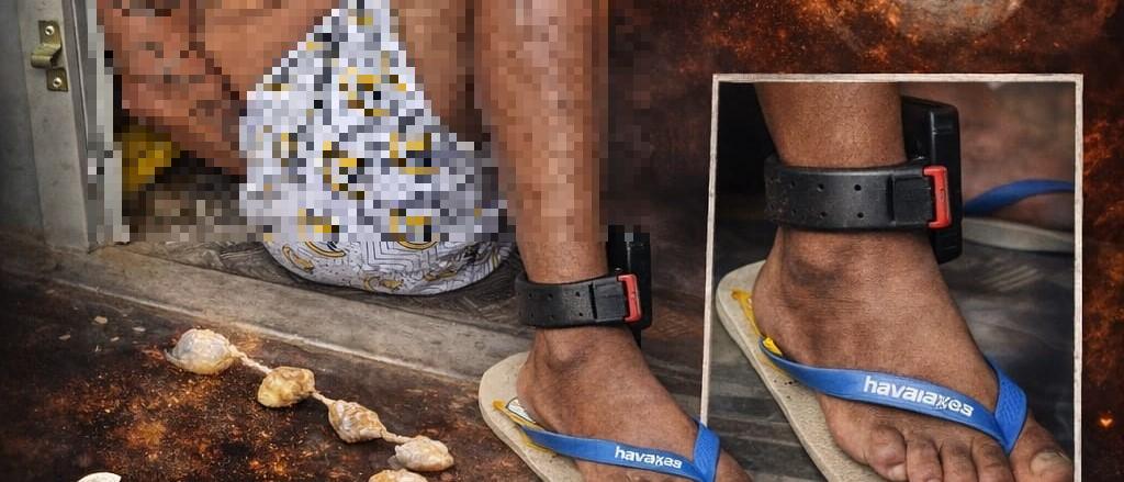  (Foto/Divulgação PMMG)