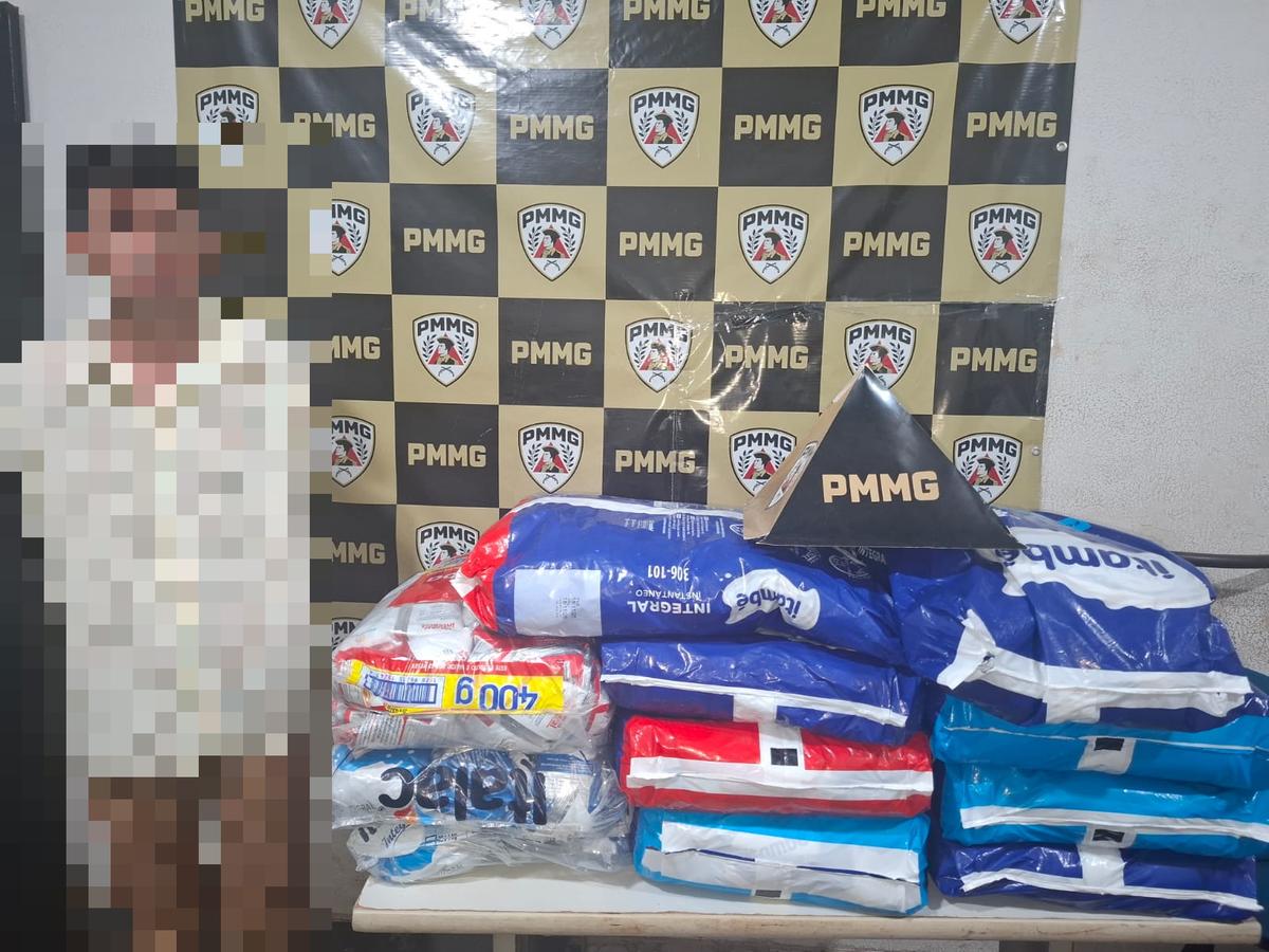  (Foto/Divulgação PMMG)