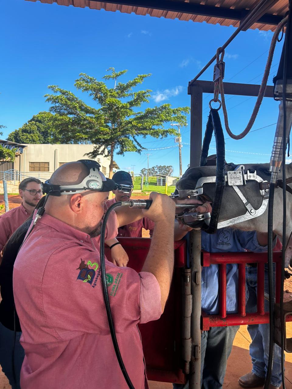 Odontoplastia na prática (Foto/Divulgação)