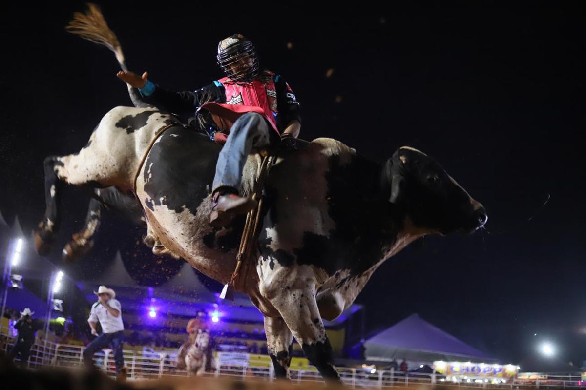 O retorno do rodeio profissional à cidade prioriza o rigor técnico e o bem-estar animal (Foto/Divulgação)