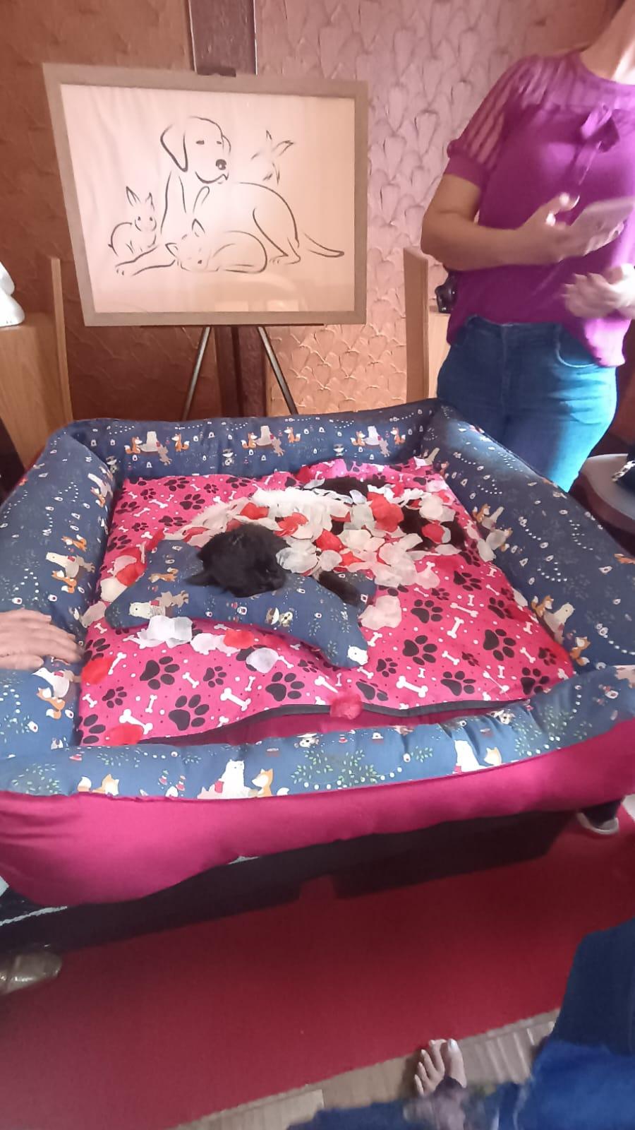 Negão se tornou um símbolo para quem convivia diariamente no espaço (Foto/Divulgação)