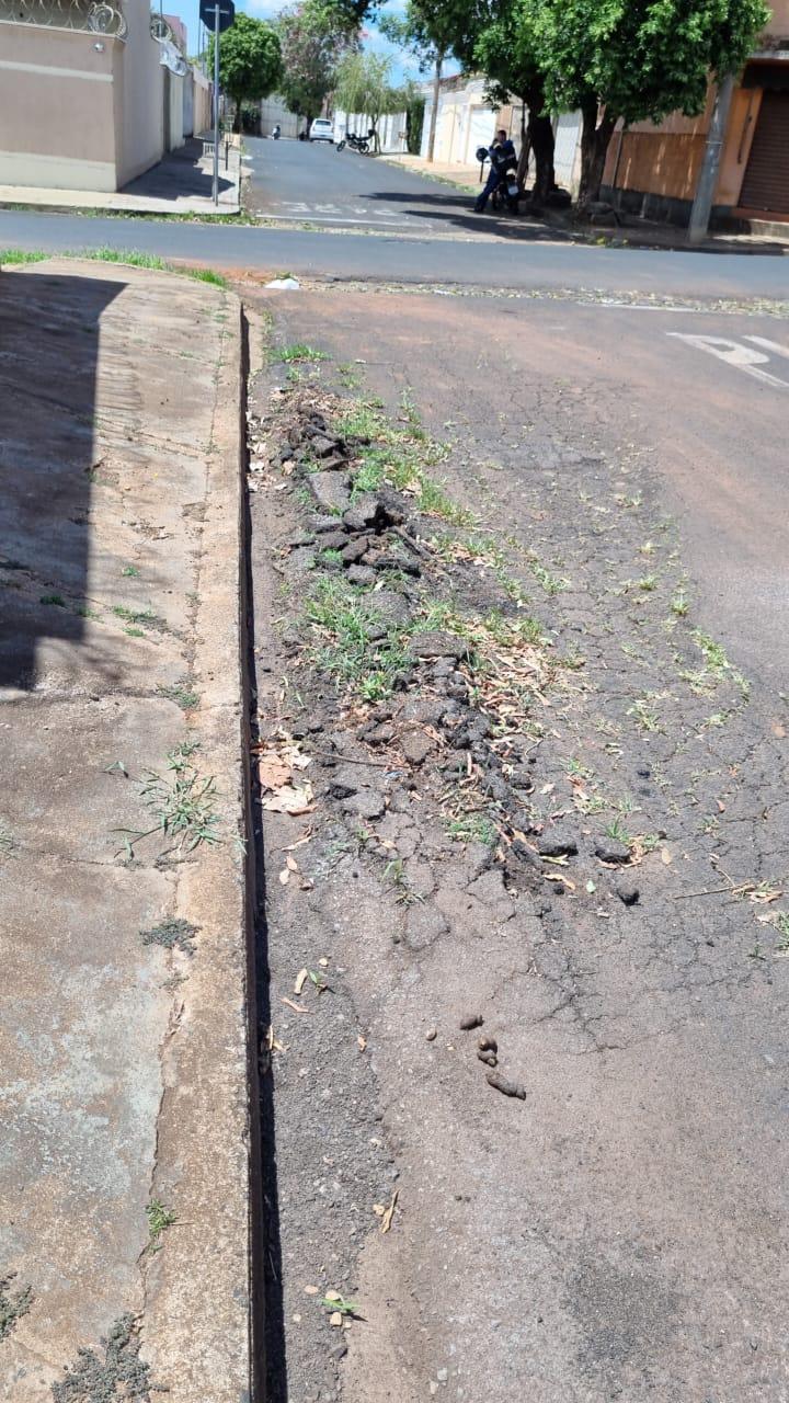 O problema aparece com mato crescendo no interior da abertura, indicando a falta de manutenção no local (Foto/Divulgação)
