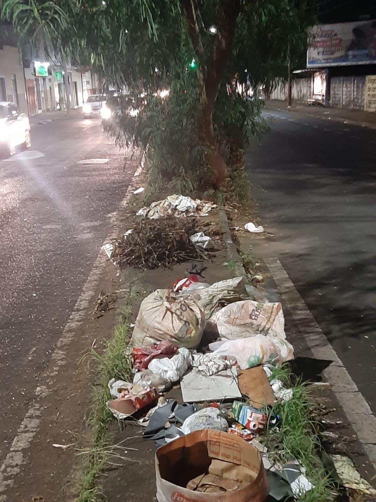 Segundo a moradora, o descarte irregular de lixo estaria causando mau cheiro e atraindo animais na avenida Orlando Rodrigues da Cunha  (Foto/Leitora)