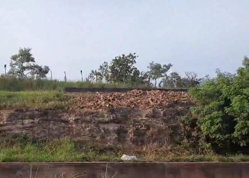 O descarte irregular de resíduos em áreas públicas é considerado infração ambiental e pode gerar multas elevadas em Uberaba (Foto/Reprodução)