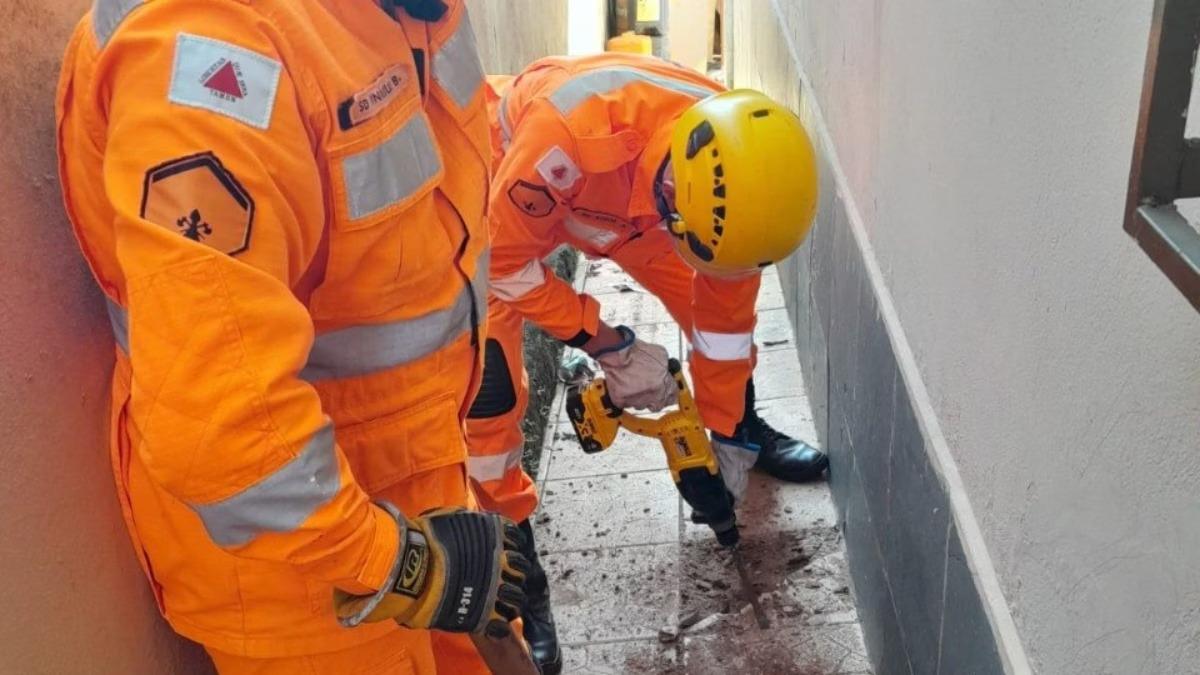 Segundo tutores, animal tem papel importante no apoio emocional de um paciente oncológico da casa (Foto/Divulgação/CBMMG)