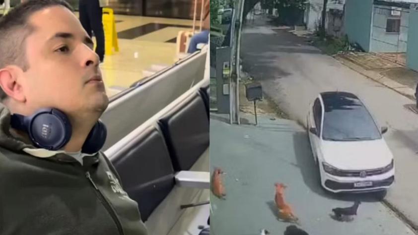 Câmeras de segurança flagraram o momento em que o veículo desvia em alta velocidade para atingir os animais comunitários; sobreviventes estão em estado grave (Foto/Reprodução/Redes Sociais)