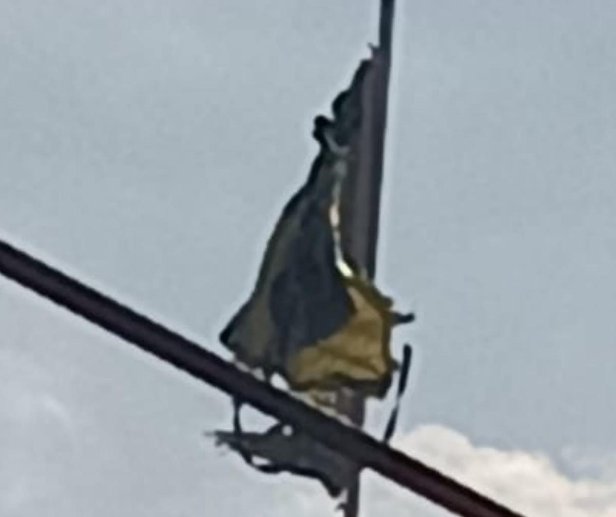 FLAGRANTE - Mesmo rasgada, Bandeira Nacional continua tremulando em escola privada de Uberaba, ferindo a legislação (Foto/Divulgação)