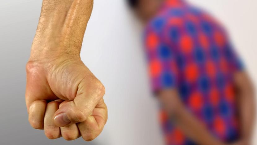 Lei Maria de Penha se aplica a casais homoafetivos formados por homens e a mulheres travestis e transexuais (Foto/Pixabay/Kalhh)