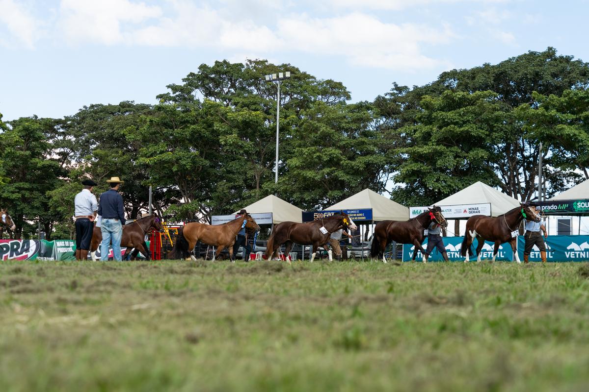  (Foto/Fagner Almeida)