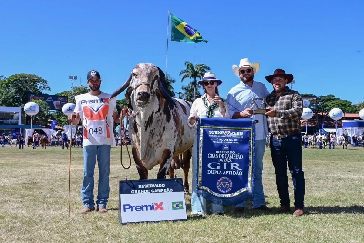 Imagem de um dos animais premiados na Expozebu (Foto/Expozebu / Divulgação)