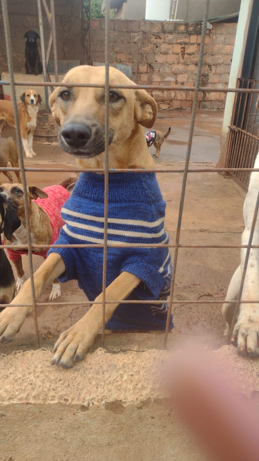  (Foto/Divulgação)