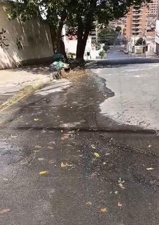  (Foto/Reprodução)