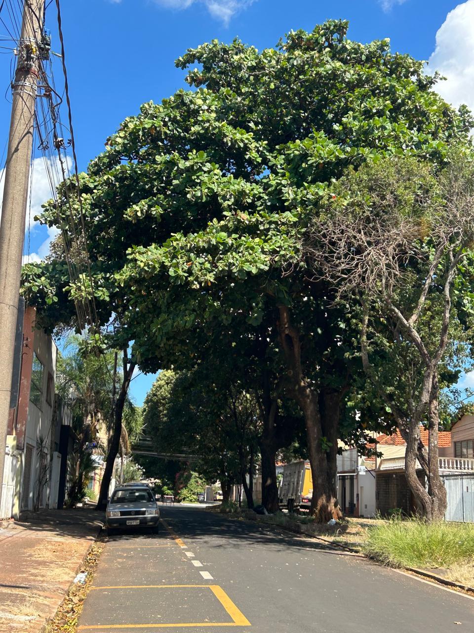  (Foto/Reprodução)