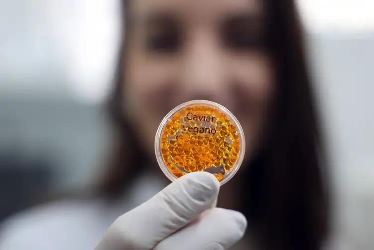 Amostras foram criadas com tintas alimentícias. (Foto: Valter Campanato/Agência Brasil)