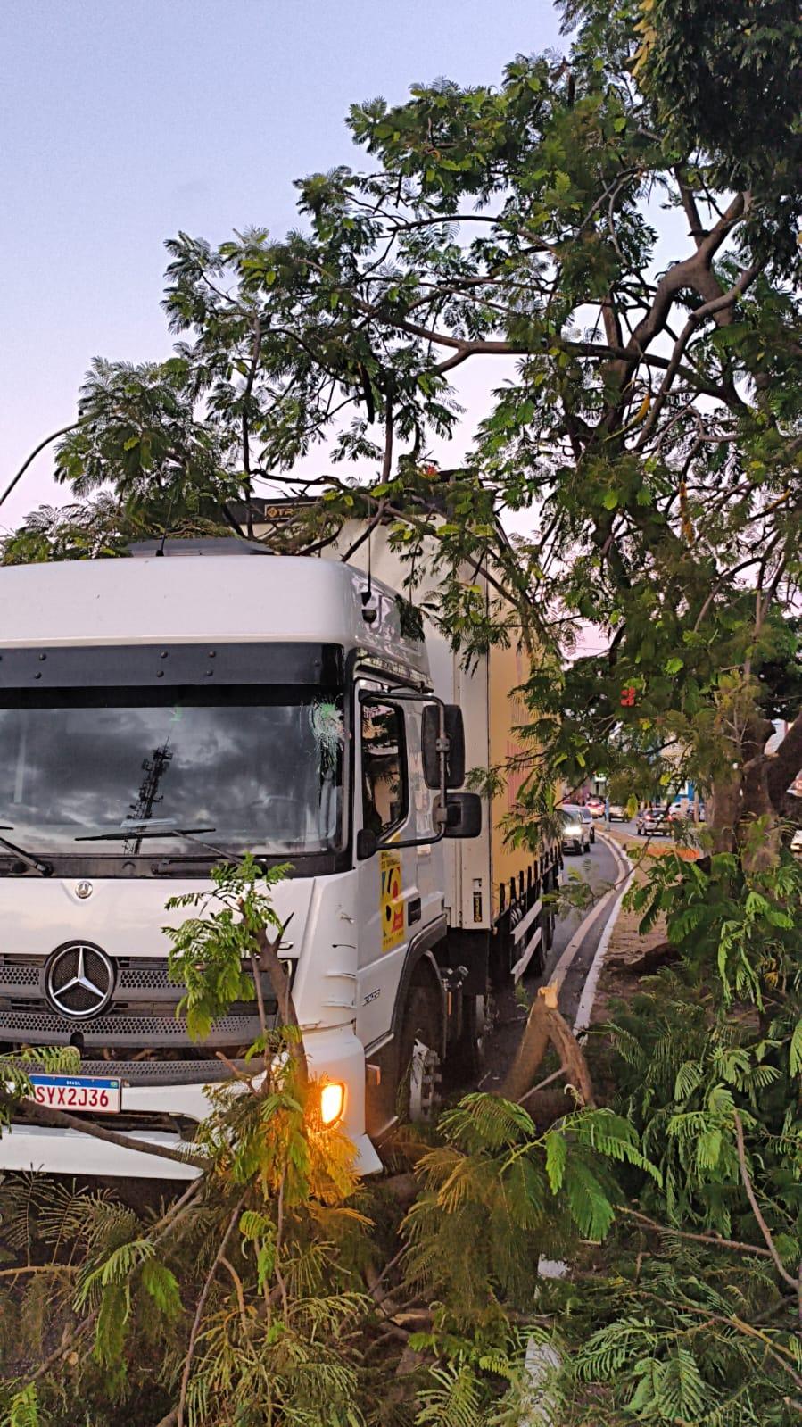 Árvore caiu sobre o caminhão após este atingi-la no canteiro central da via (Foto/Divulgação)