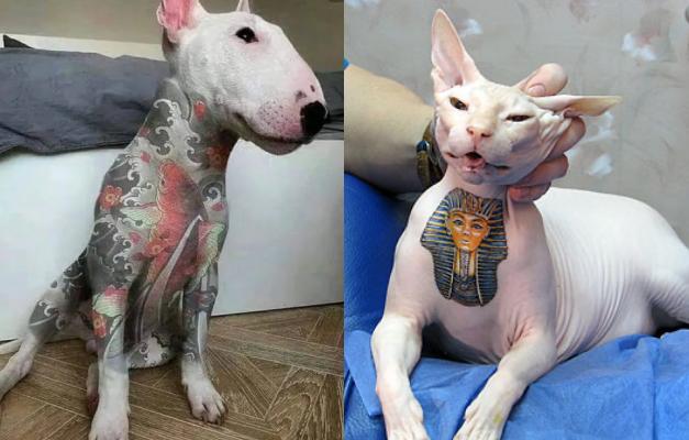(Foto/Divulgação)